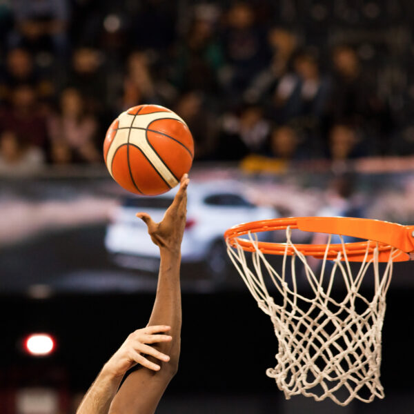 Basketboll